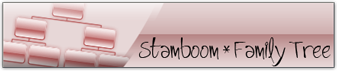 btnStamboom